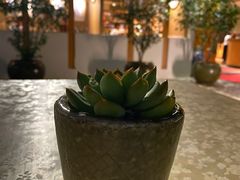-静颐茶馆·素食(龙华店)