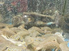 -渔码头食府(蓬莱阁店)