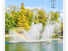 -上海共青森林公园