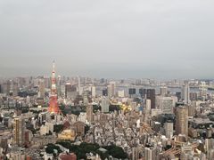 -六本木新城展望台(东京城市景观)