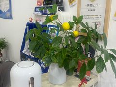-雅仕康口腔