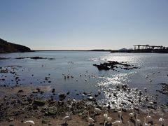 -烟墩角天鹅湖