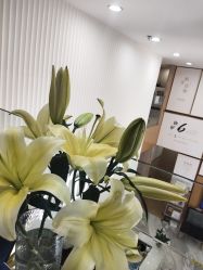 -熙朵美学植发·连锁品牌