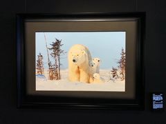 -罗红摄影艺术馆