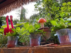 -鱼乐岛餐厅·户外花园主题餐厅