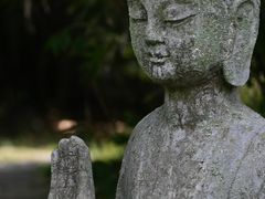 -鹿野苑石刻艺术博物馆