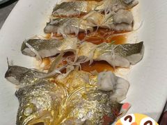 -1937青岛老味道·海肠捞饭·青岛菜(大鲍岛栈桥店)