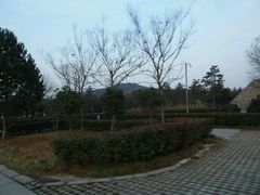 -秦始皇帝陵博物院-丽山园