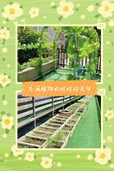 -可可天空农场(中大店)