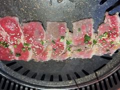-杨记齐齐哈尔烤肉(总店)