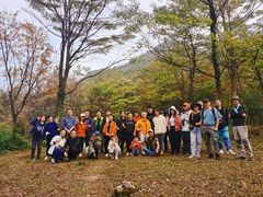 -丰都鬼城名山景区