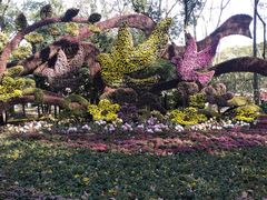 -共青国家森林公园-售票处