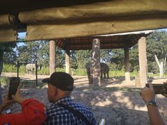 -清迈夜间动物园