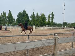 -北京群众马术培训基地