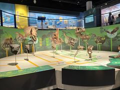 -国家自然博物馆