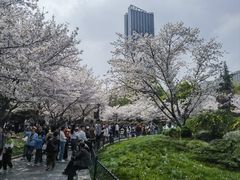 -堤角公园