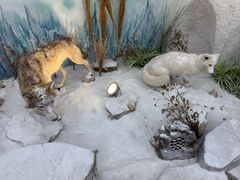 -西霞口神雕山野生动物世界