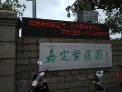 -嘉定紫藤园