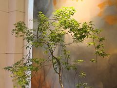 -杭州西子湖四季酒店-WL BISTRO西湖餐厅(灵隐路店)