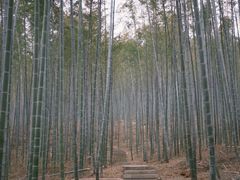 -池州市平天湖风景区