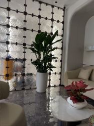 -广州美莱医疗美容医院