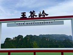 -王莽岭风景区