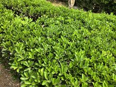 -红星美凯龙(北京北四环店)