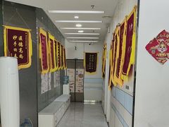 -中农国际动物医院24小时·猫科·骨科·急重症中心