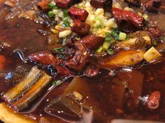 水煮毛血旺-双井轩(双井店)