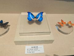 -青藏高原自然博物馆