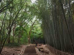 -杭州黄龙洞