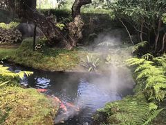 -Chom Cafe and Restaurant