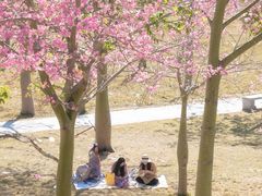 -风云岭森林公园