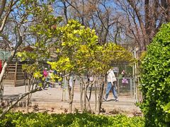 -保定市动物园