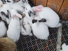 -珠海海泉湾神秘岛亲子乐园