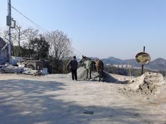 -午潮山国家森林公园