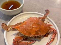 -船歌·鱼水饺青岛菜(石老人店)