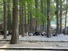 -南京金牛湖风景区