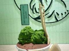 -鹤茶野所(上海首店)