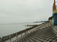 -瀛洲公园