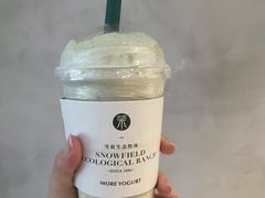 -茉酸奶(春熙路店)