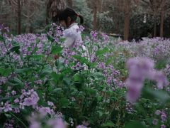 -同里国家湿地公园