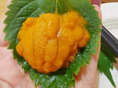 野生马粪活海胆-鲔屋寿喜烧