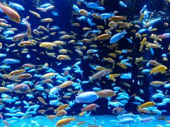 -成都浩海立方海洋公园