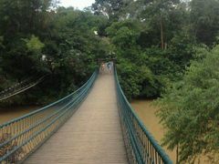 -南宁良凤江国家森林公园