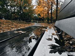 -大望京公园