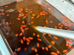 -红鼻子桂林米粉(金唐新光界店)