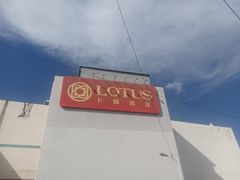 -卜蜂莲花(辽阳西路店)