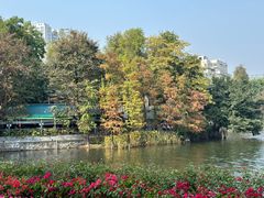-荔湾湖公园