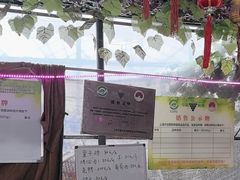 -马陆小张葡萄园农家乐